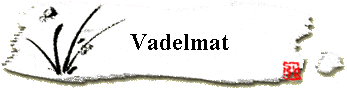 Vadelmat